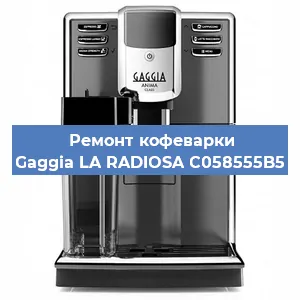 Замена прокладок на кофемашине Gaggia LA RADIOSA C058555B5 в Перми